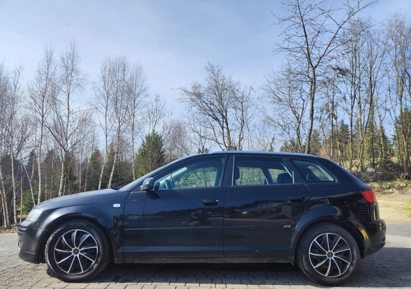 Audi A3 cena 12800 przebieg: 217000, rok produkcji 2007 z Proszowice małe 137